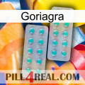 Goriagra 29